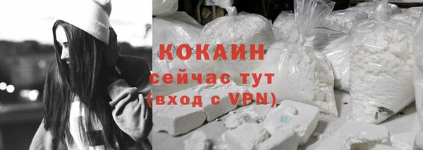 соль ск Богородицк
