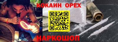 крисы Сосновый Бор