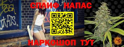крисы Сосновый Бор