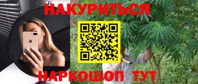 крисы Сосновый Бор