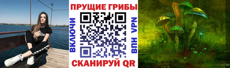 ОМГ ОМГ сайт Волжск Галлюциногенные грибы Psilocybe как найти