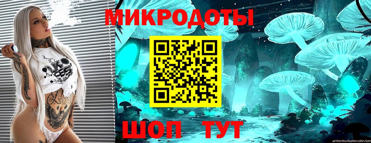 Псилоцибиновые грибы Cubensis Волжск